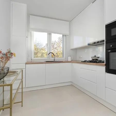 Elegant In Center With Desk And Air Conditioned Living By Renters * Вроцлав