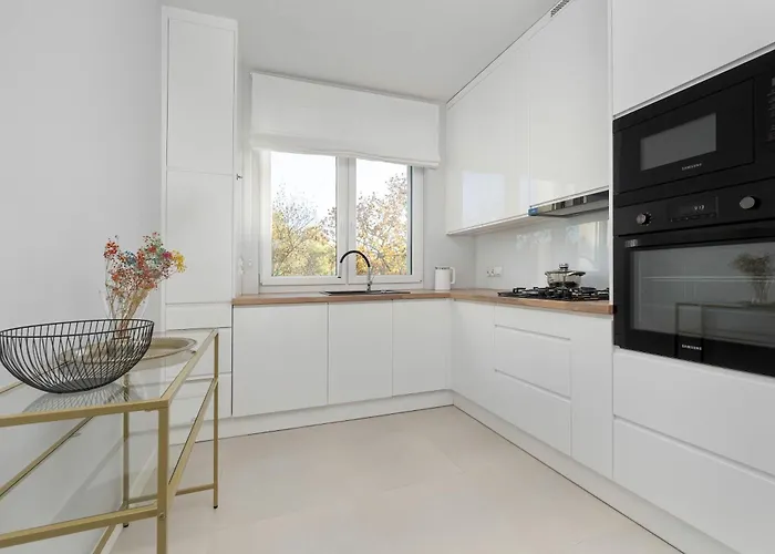 Elegant In Center With Desk And Air Conditioned Living By Renters * Wrocław