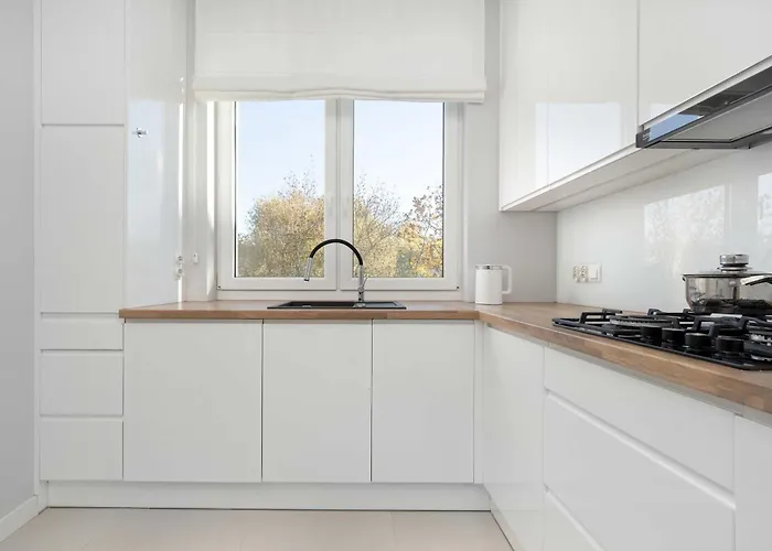 Elegant In Center With Desk And Air Conditioned Living By Renters Wrocław